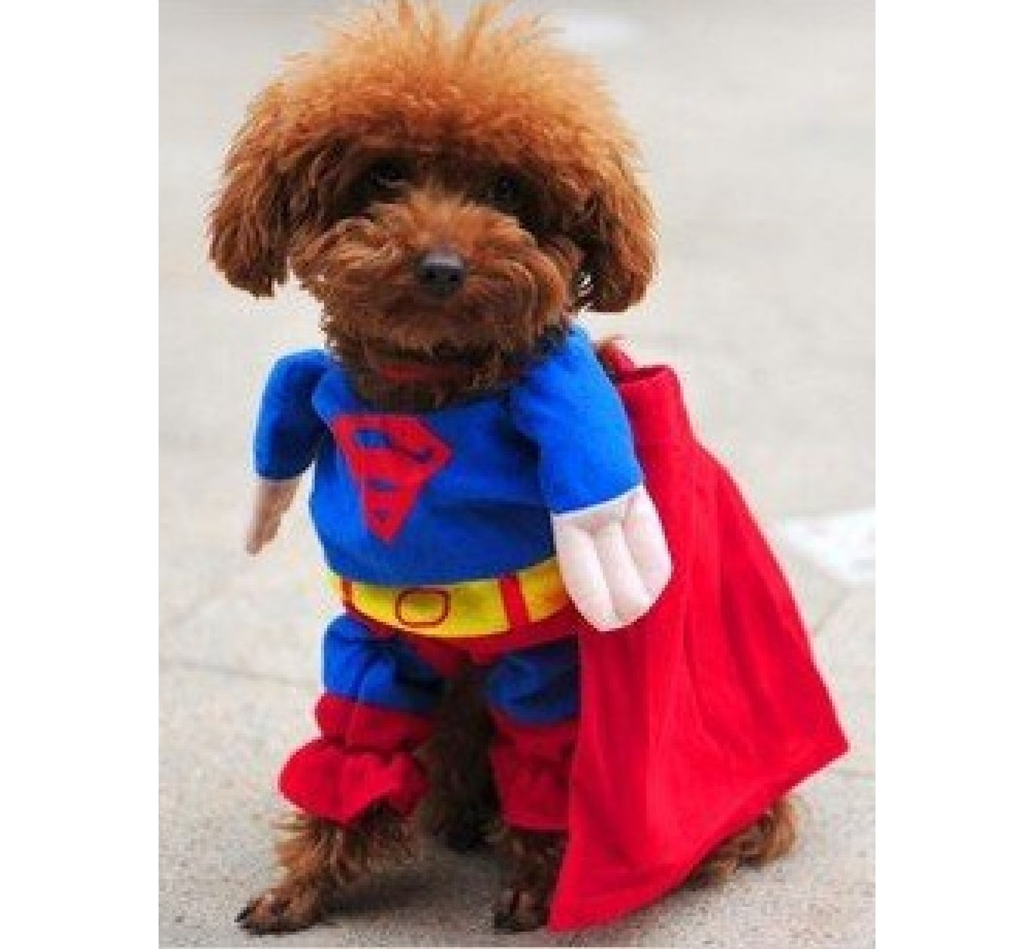 SUPERMAN Superhero Cute Pet Cat Dog Puppy Cotton Clothes Costume Suit